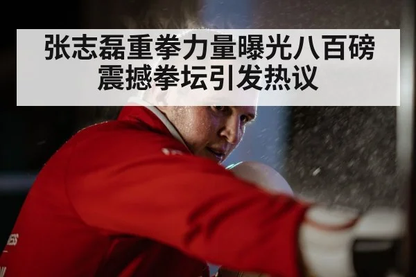张志磊重拳力量曝光八百磅震撼拳坛引发热议