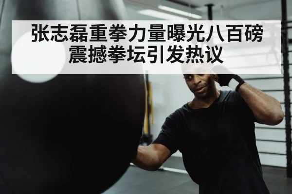 boxer hitting heavy bag