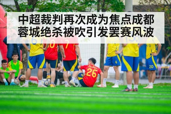 Chengdu Rongcheng players protest offside