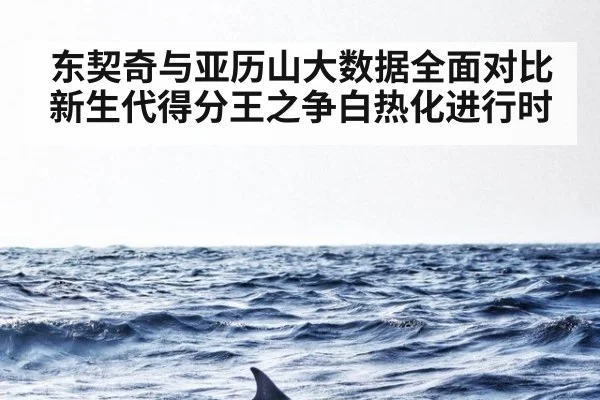 东契奇与亚历山大数据全面对比新生代得分王之争白热化进行时